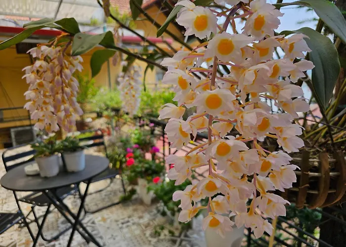 Dang Khoa Garden Inn Homestay