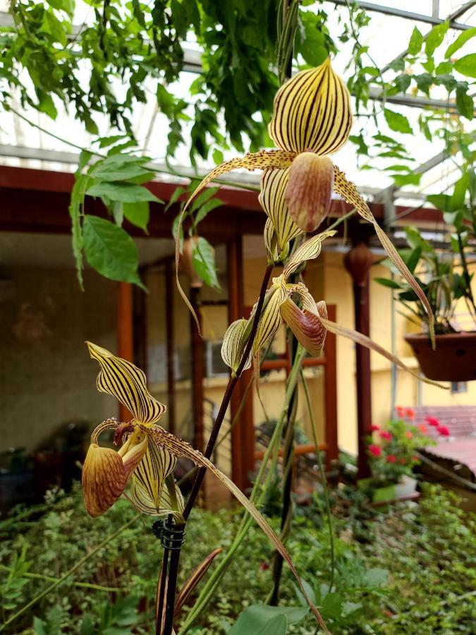 Dang Khoa Garden गेस्ट हाउस 3*