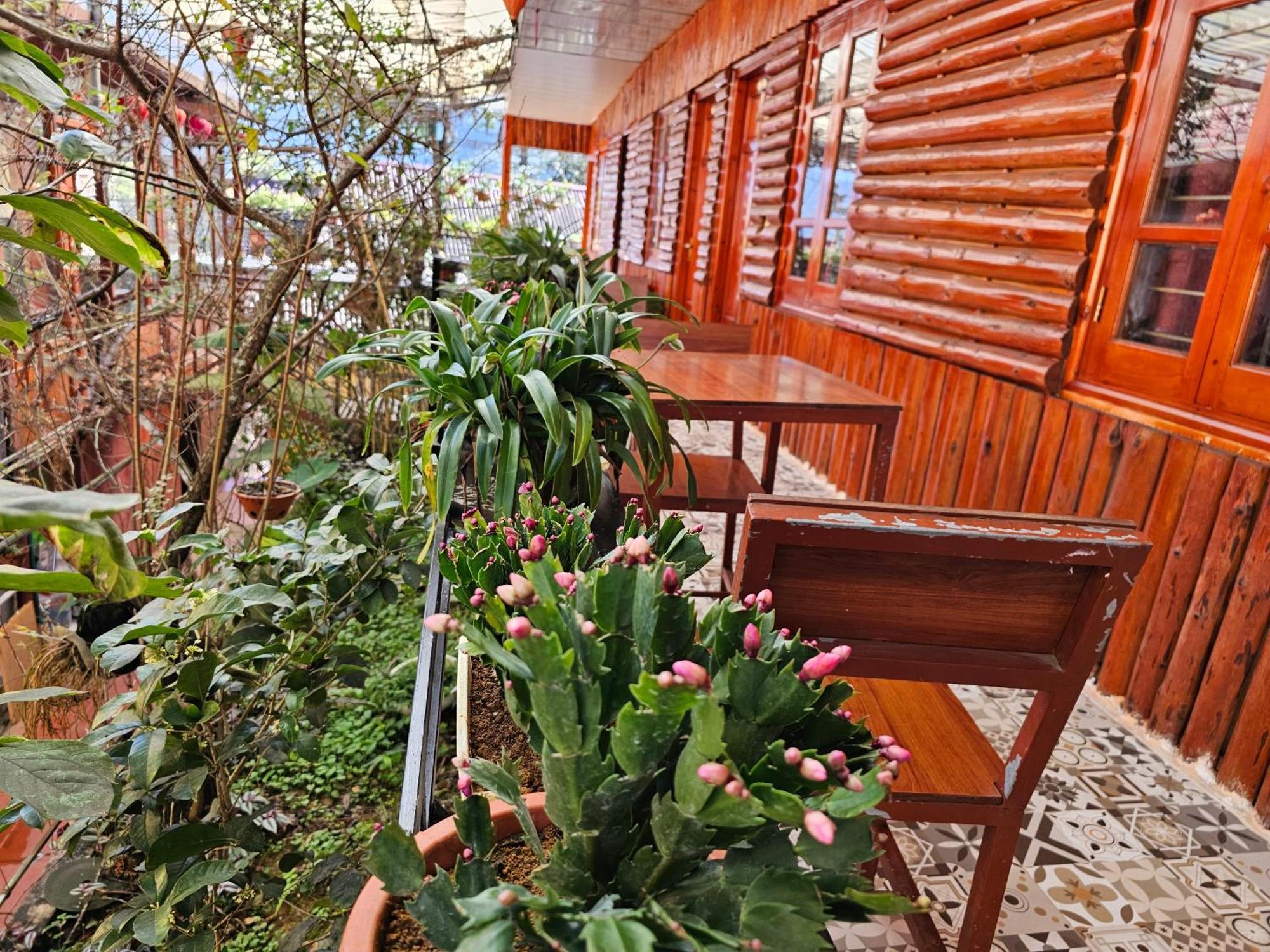 गेस्ट हाउस Dang Khoa Garden 3*