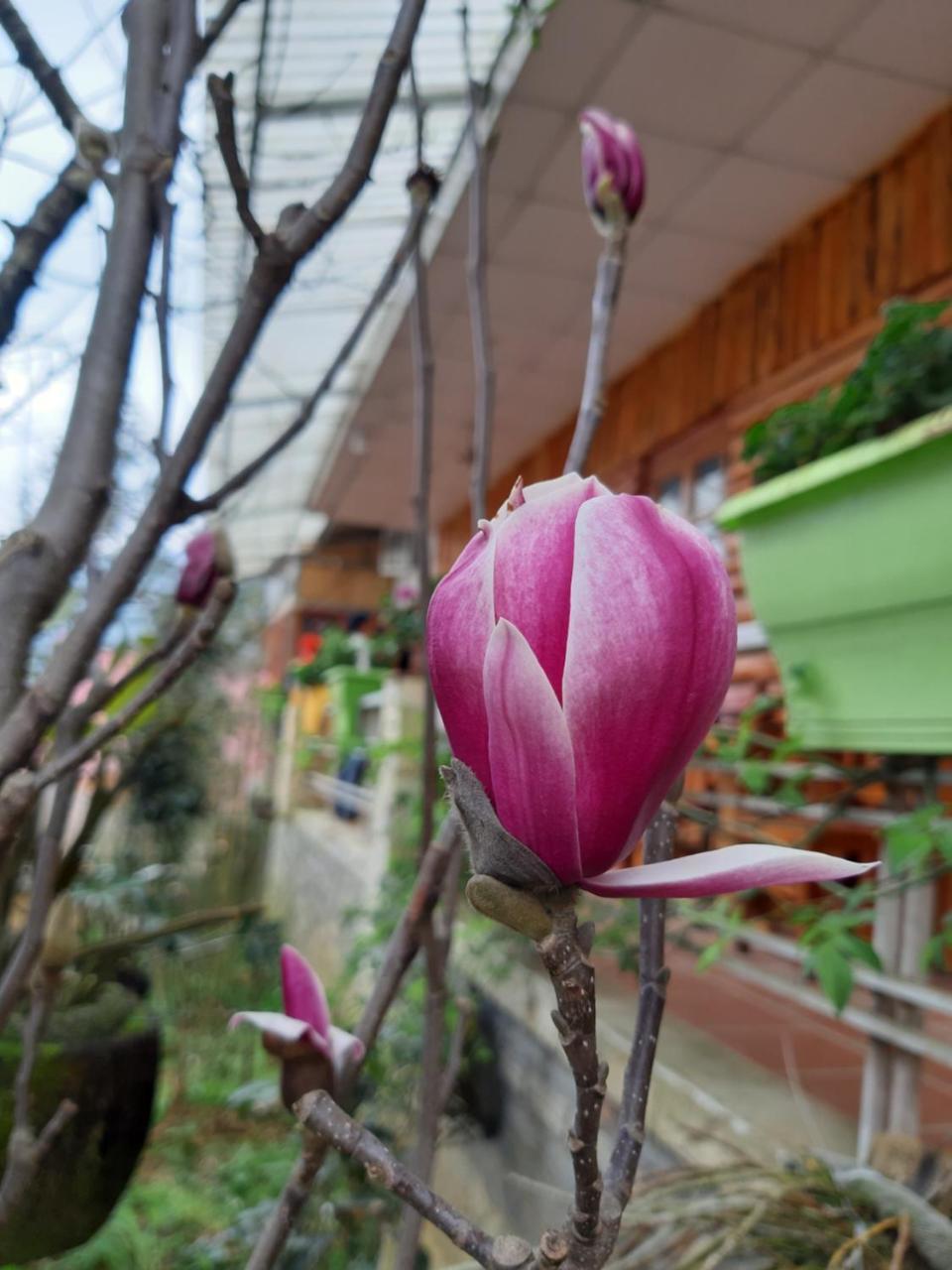 Dang Khoa Garden गेस्ट हाउस
