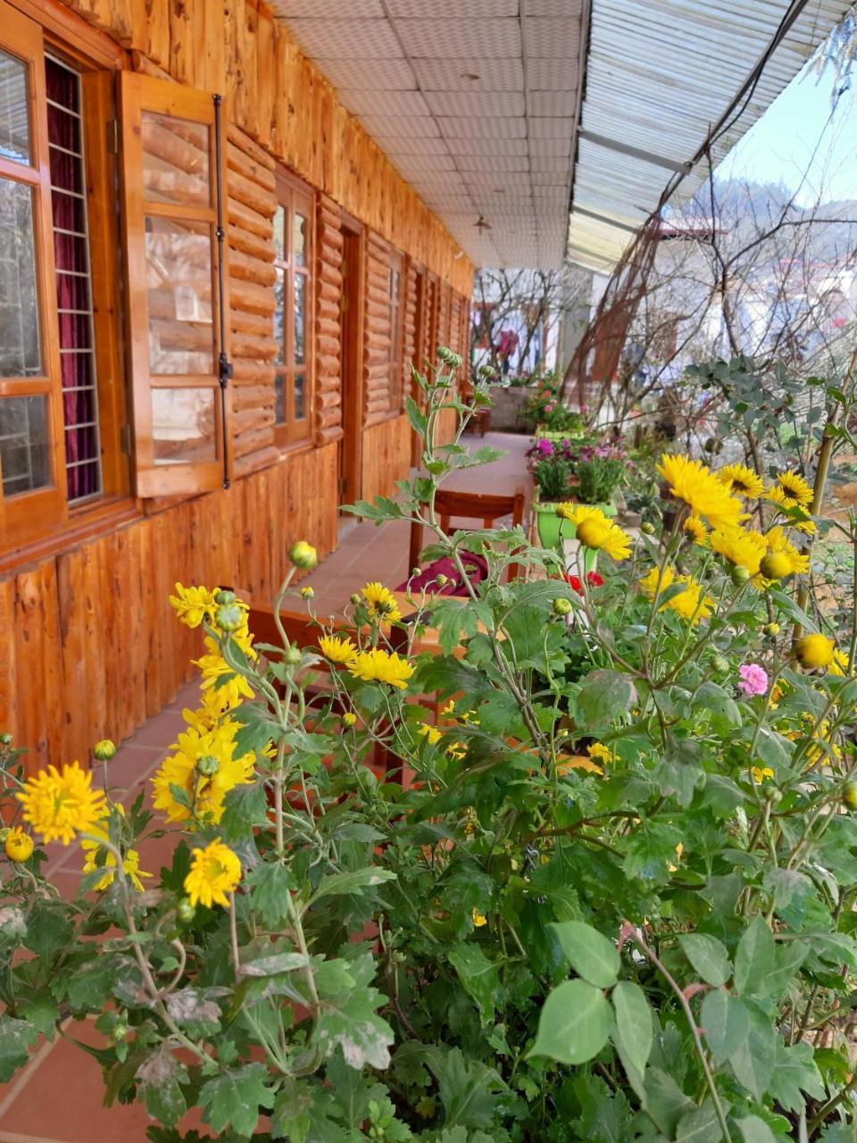 गेस्ट हाउस Dang Khoa Garden